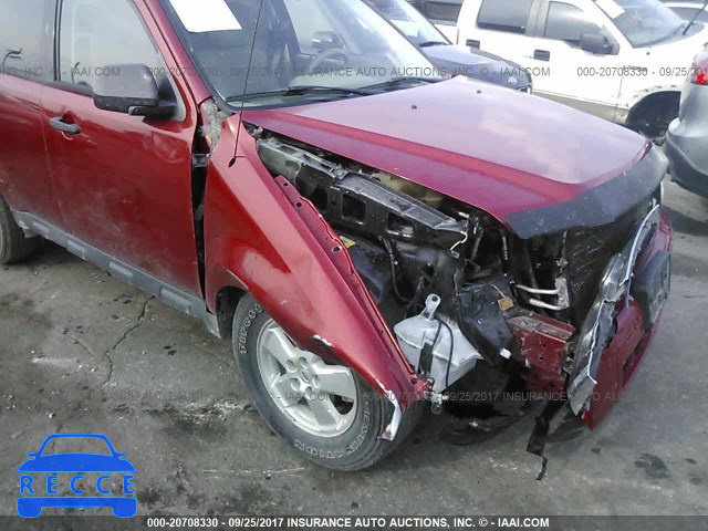 2010 Ford Escape 1FMCU9DG8AKD45839 image 5