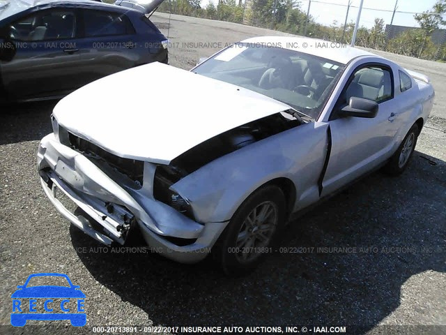 2006 Ford Mustang 1ZVFT80N365202531 image 1