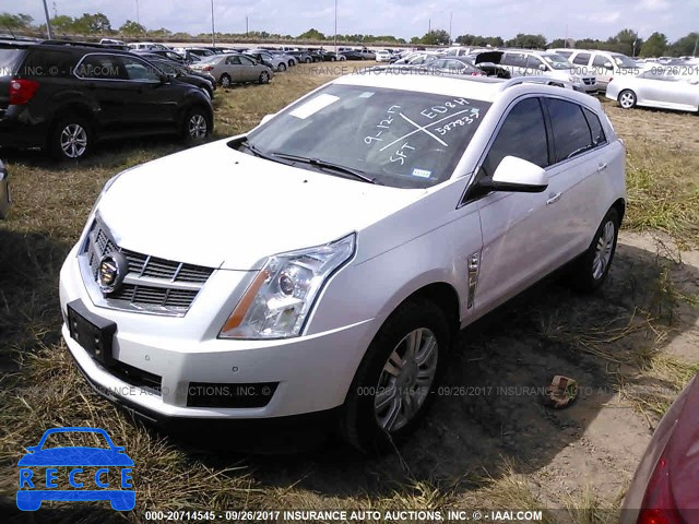 2012 Cadillac SRX LUXURY COLLECTION 3GYFNAE31CS587837 зображення 1