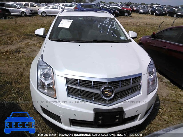 2012 Cadillac SRX LUXURY COLLECTION 3GYFNAE31CS587837 зображення 5