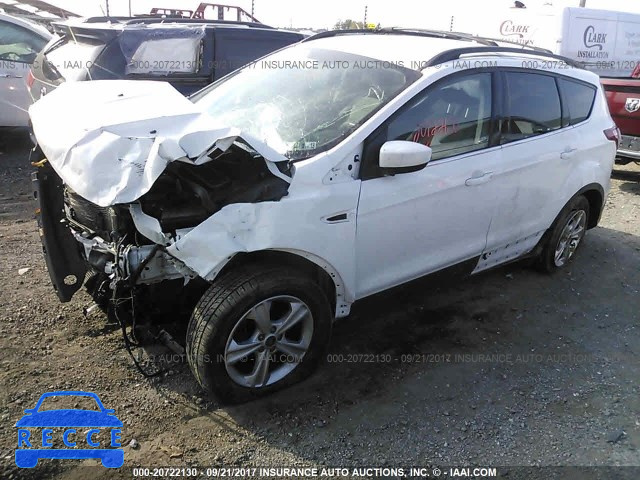 2013 Ford Escape 1FMCU9GX1DUB09974 image 1