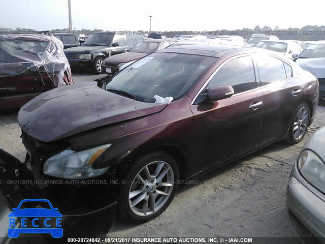 2011 Nissan Maxima S/SV 1N4AA5AP8BC824233 image 1