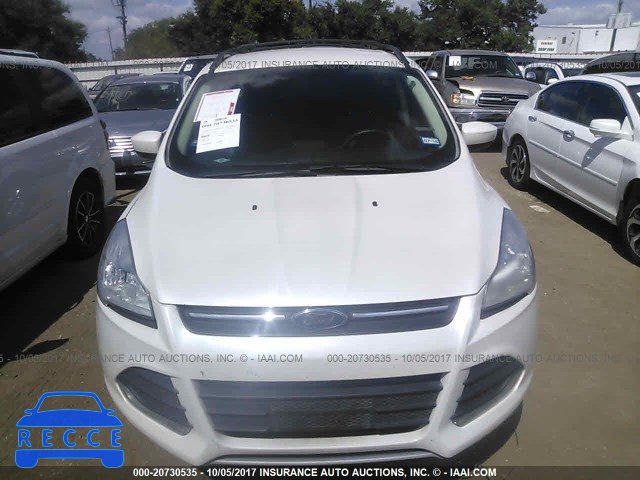 2013 Ford Escape 1FMCU0GXXDUD53490 image 5