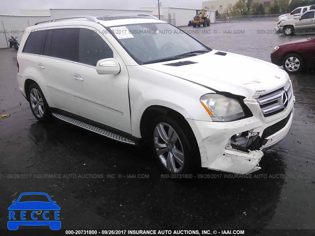 2010 MERCEDES-BENZ GL 450 4MATIC 4JGBF7BE8AA589010 image 0