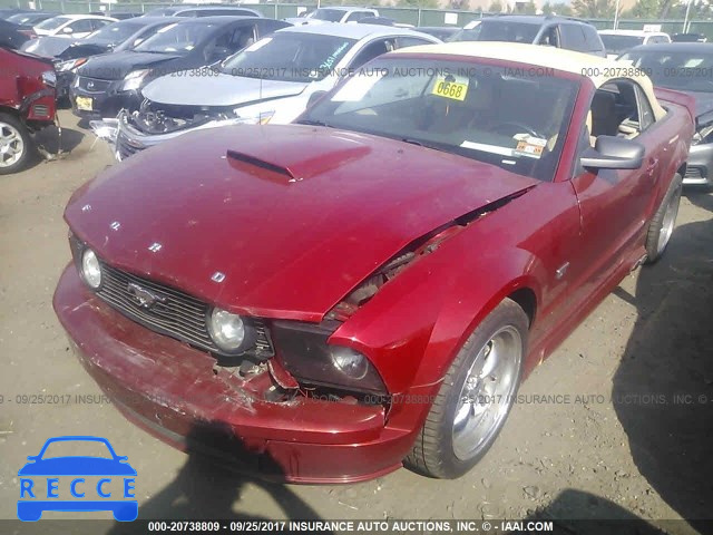2008 Ford Mustang GT 1ZVHT85H085110520 image 1
