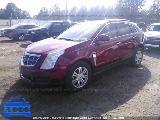 2010 Cadillac SRX LUXURY COLLECTION 3GYFNAEY6AS548007 image 1