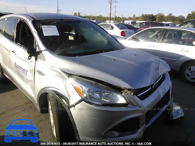 2014 Ford Escape 1FMCU0GX7EUD58129 image 5