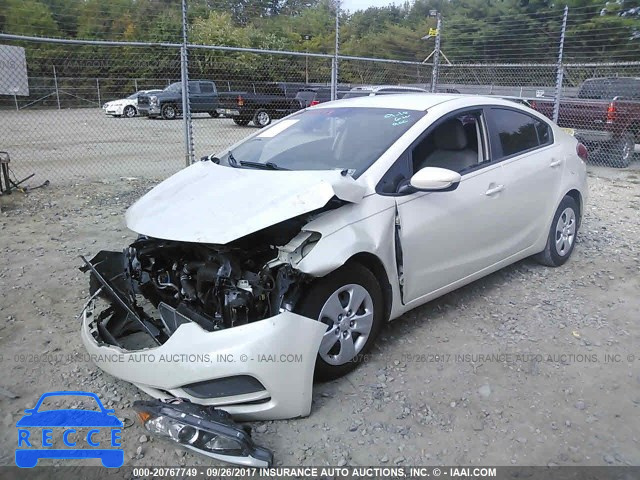 2015 KIA Forte LX KNAFK4A6XF5362487 image 1