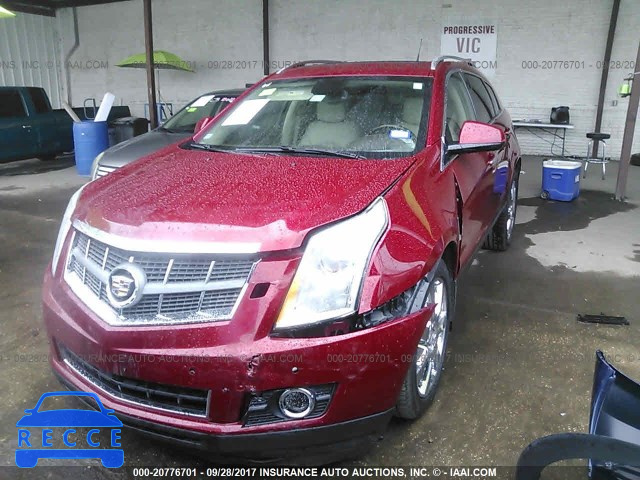 2011 Cadillac SRX PREMIUM COLLECTION 3GYFNCEY1BS625704 image 1