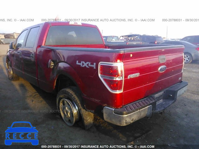 2010 Ford F150 1FTFW1EV2AFD81044 Bild 2