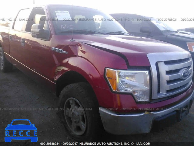 2010 Ford F150 1FTFW1EV2AFD81044 Bild 5