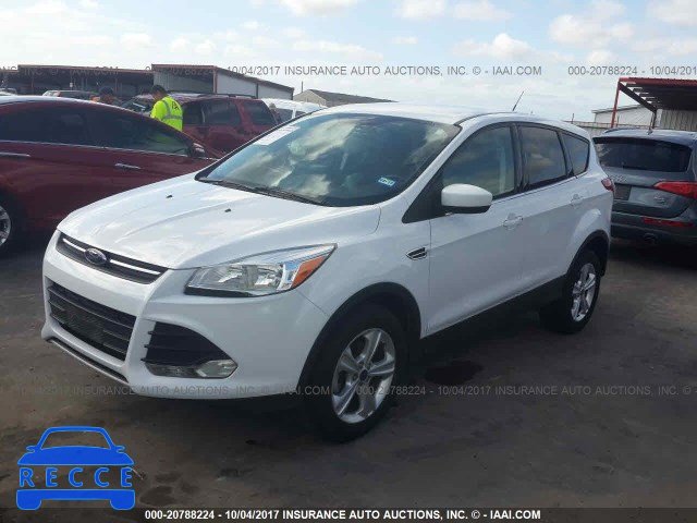 2014 Ford Escape 1FMCU0GX5EUE25214 зображення 1