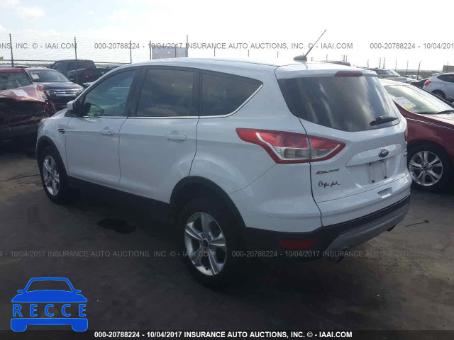 2014 Ford Escape 1FMCU0GX5EUE25214 image 2