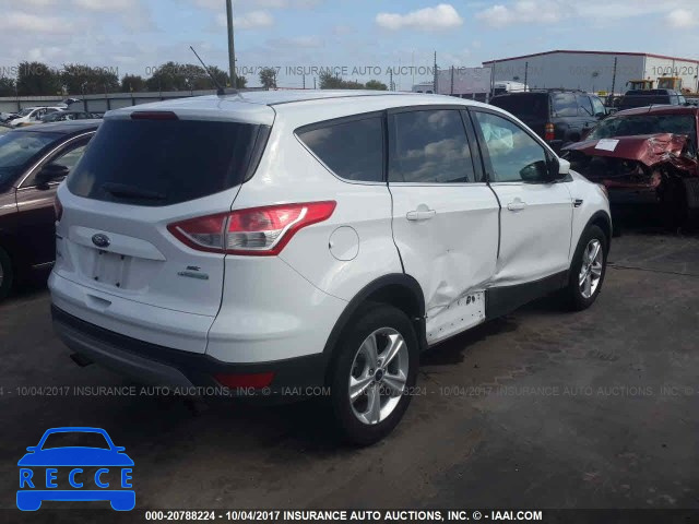 2014 Ford Escape 1FMCU0GX5EUE25214 зображення 3