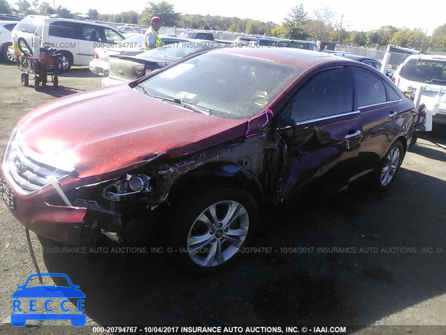 2011 Hyundai Sonata 5NPEC4AC9BH241705 image 1