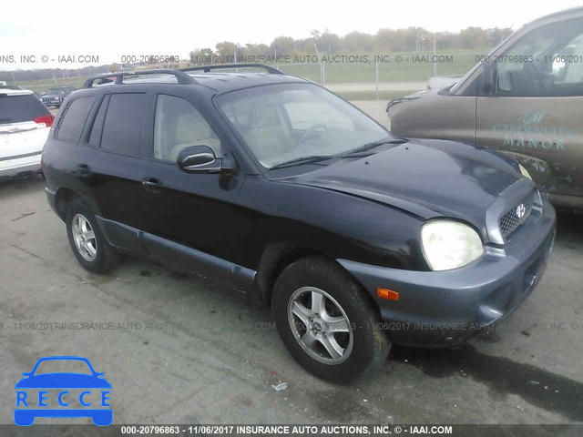 2004 HYUNDAI SANTA FE KM8SB12B74U829813 image 0