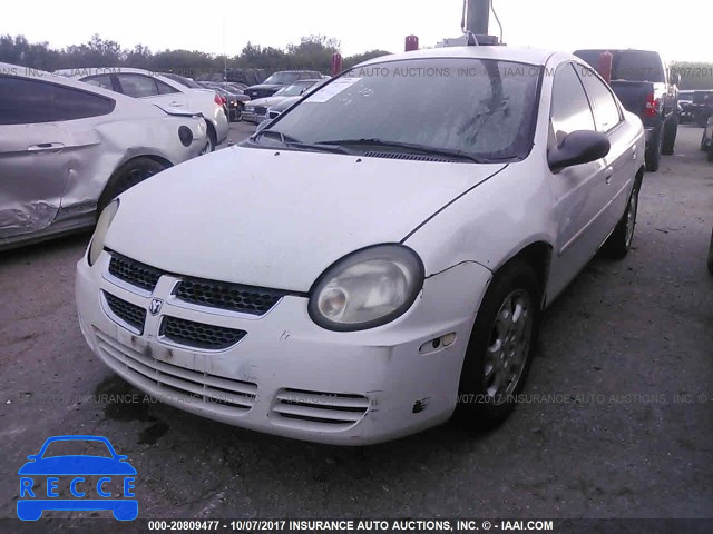 2003 Dodge Neon 1B3ES56C93D241049 image 1