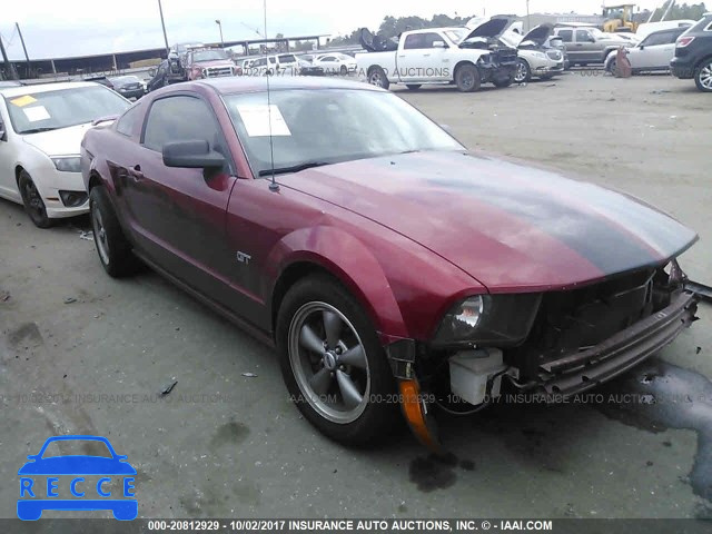 2006 Ford Mustang 1ZVHT82HX65168264 image 0