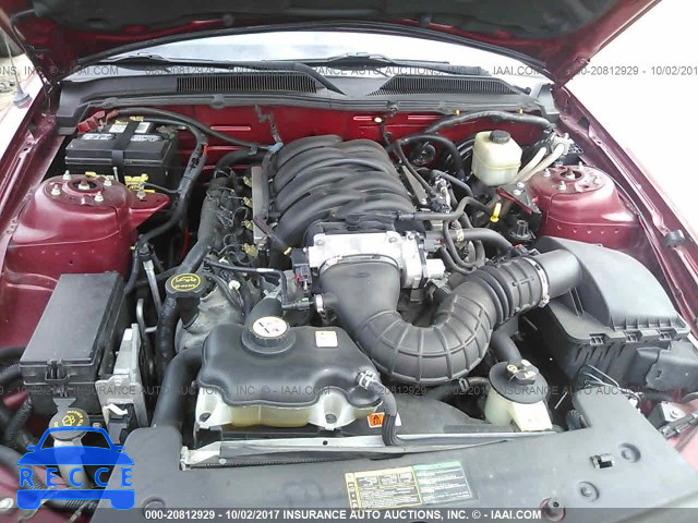 2006 Ford Mustang 1ZVHT82HX65168264 image 9