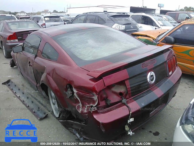 2006 Ford Mustang 1ZVHT82HX65168264 image 2