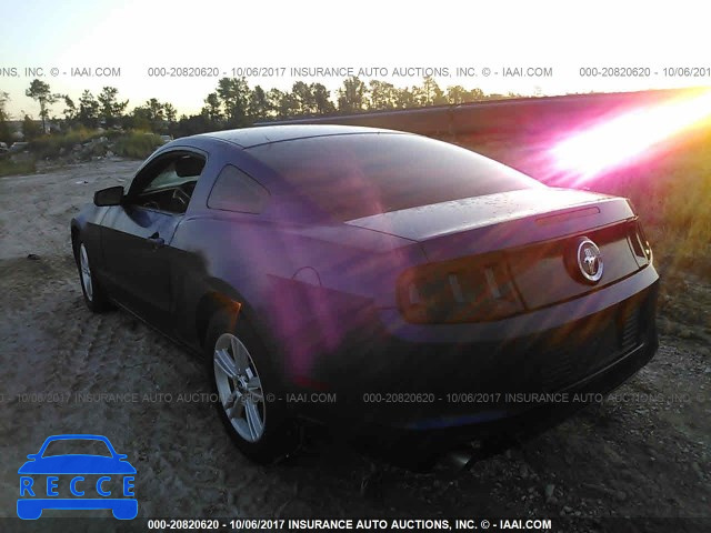 2014 Ford Mustang 1ZVBP8AM8E5309355 image 2