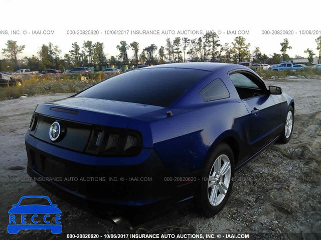 2014 Ford Mustang 1ZVBP8AM8E5309355 image 3