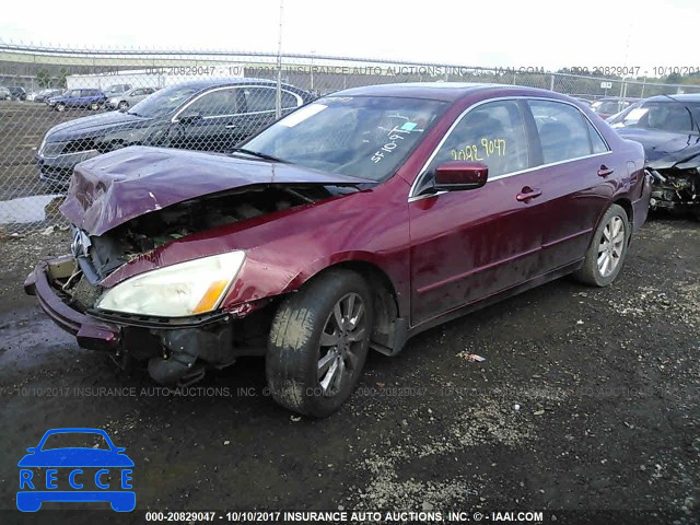 2006 Honda Accord 1HGCM66536A024644 зображення 1