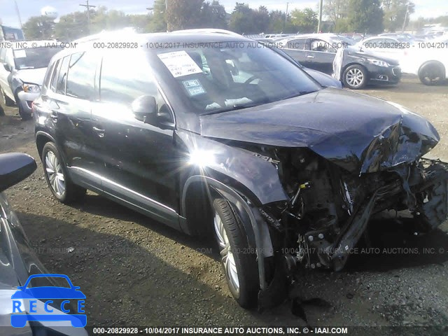 2013 Volkswagen Tiguan S/SE/SEL WVGBV7AX7DW549692 image 0