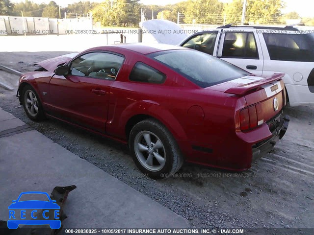 2008 Ford Mustang GT 1ZVHT82H785111541 image 2