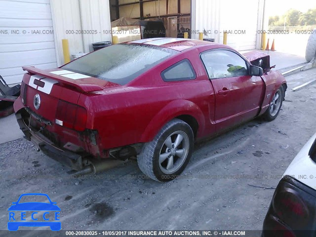 2008 Ford Mustang GT 1ZVHT82H785111541 image 3