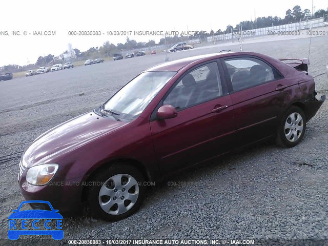 2008 KIA Spectra KNAFE121885516495 image 1