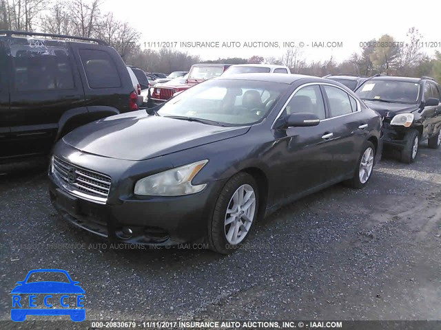 2009 Nissan Maxima S/SV 1N4AA51E29C858984 image 1