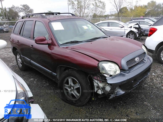 2004 Hyundai Santa Fe KM8SC13D24U607936 image 0