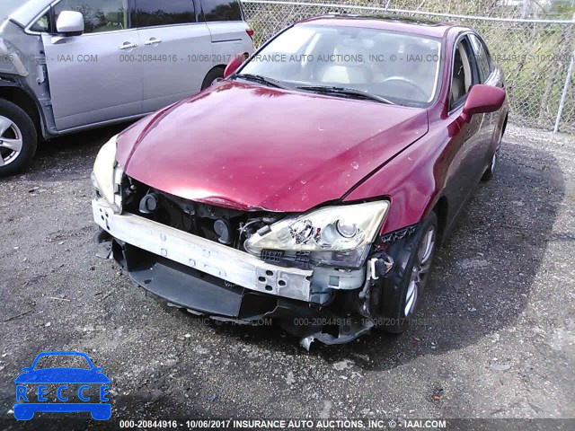 2008 LEXUS IS 250 JTHCK262482025753 image 5