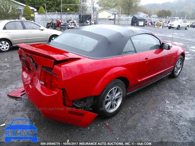 2005 Ford Mustang 1ZVFT84N055194493 image 3