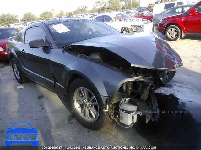 2005 Ford Mustang 1ZVFT80N555198755 image 0