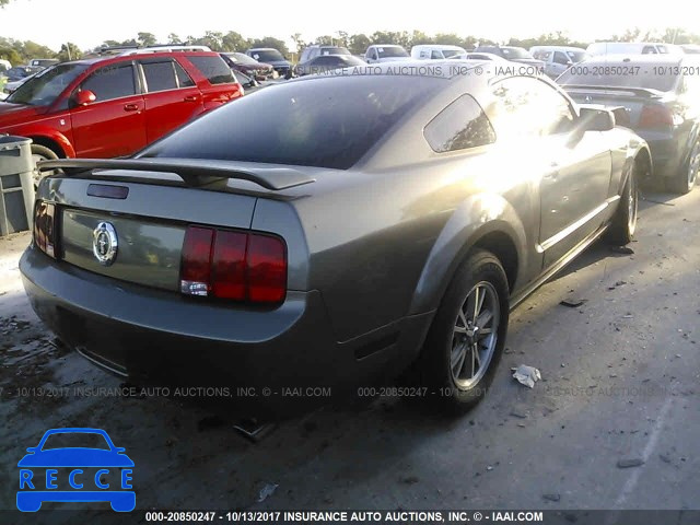 2005 Ford Mustang 1ZVFT80N555198755 image 3