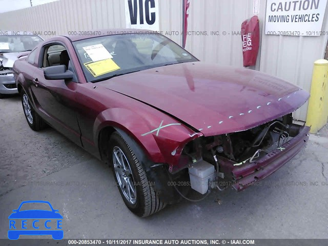 2006 FORD MUSTANG 1ZVFT80N665102794 image 0