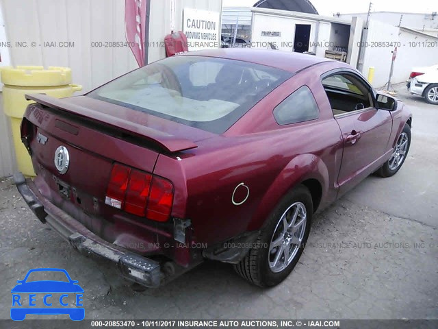 2006 FORD MUSTANG 1ZVFT80N665102794 image 3