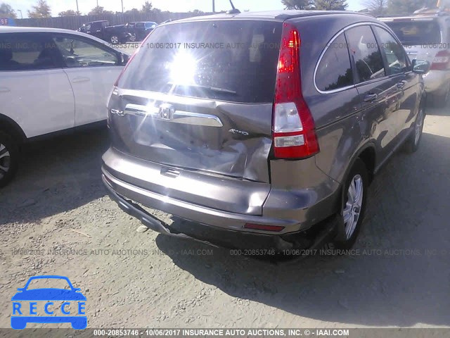 2010 Honda CR-V EXL 5J6RE4H77AL028700 image 5