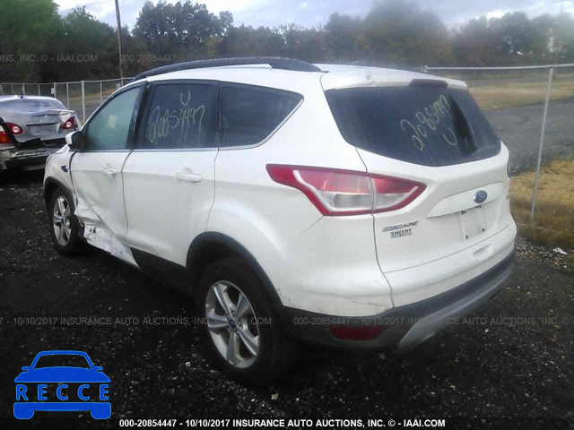 2014 Ford Escape 1FMCU0GX3EUB05504 зображення 2