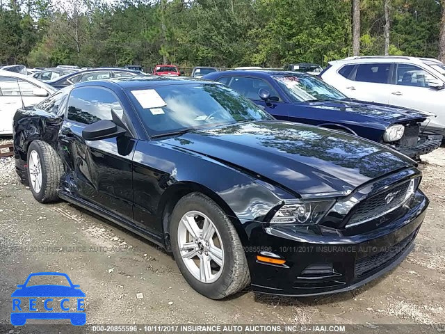 2014 Ford Mustang 1ZVBP8AM9E5300244 image 0