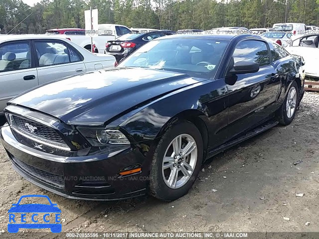 2014 Ford Mustang 1ZVBP8AM9E5300244 image 1
