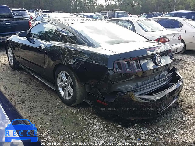 2014 Ford Mustang 1ZVBP8AM9E5300244 image 2
