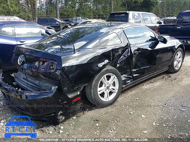 2014 Ford Mustang 1ZVBP8AM9E5300244 image 3