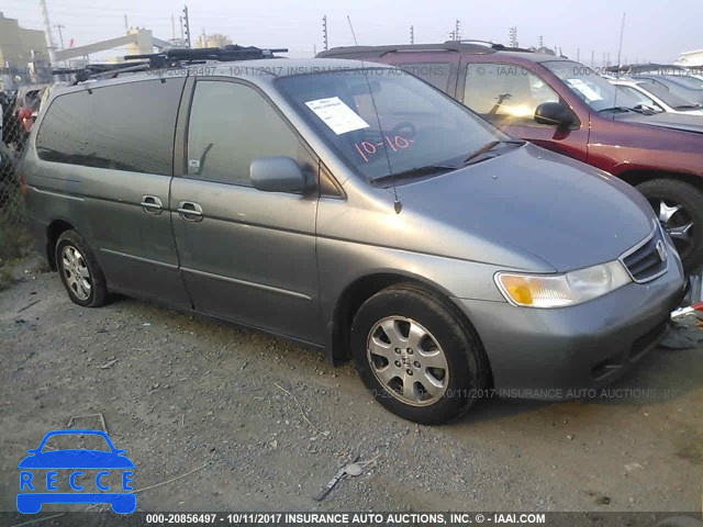 2002 HONDA ODYSSEY 5FNRL18062B017138 зображення 0