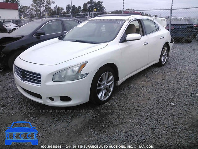 2010 Nissan Maxima 1N4AA5AP3AC827006 зображення 1