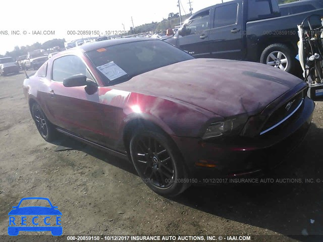 2014 Ford Mustang 1ZVBP8AM5E5298038 image 0