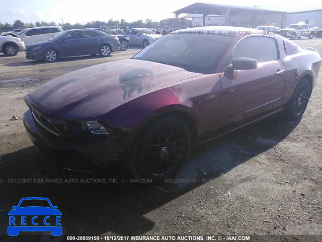 2014 Ford Mustang 1ZVBP8AM5E5298038 image 1