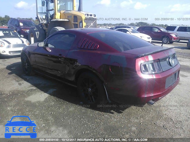 2014 Ford Mustang 1ZVBP8AM5E5298038 image 2